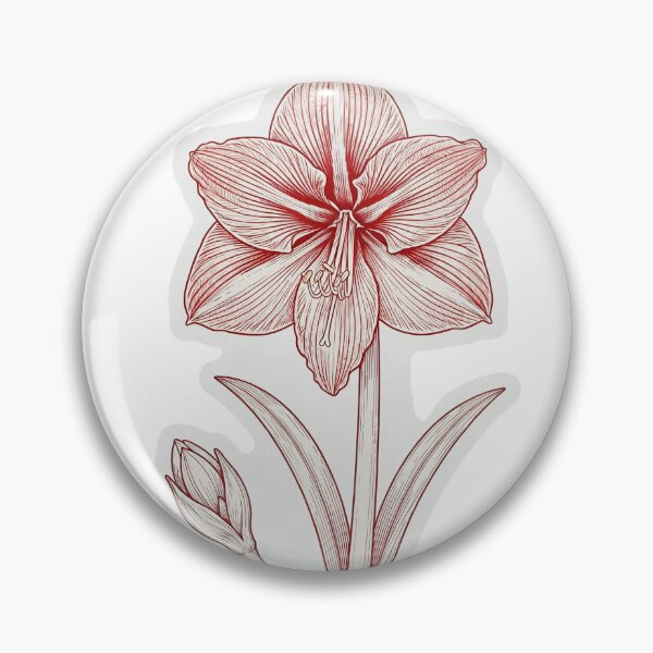 Item preview, Red Amaryllis Sticker | Amaryllis Die Cut Sticker | Fine Line Botanical Decal | Red Flower Laptop Sticker designed and sold by FineLineBotanical .
