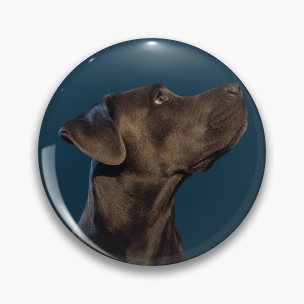 Item preview, Gray Cane Corso – Fine Art Dog Portrait designed and sold by PicturePic.