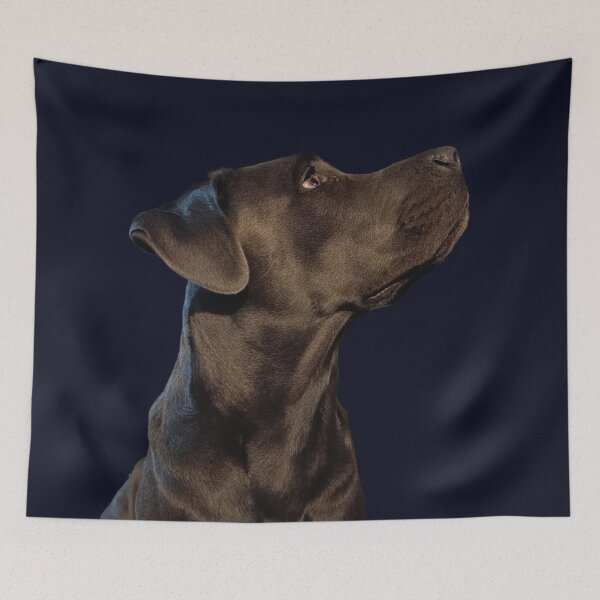 Item preview, Gray Cane Corso – Fine Art Dog Portrait designed and sold by PicturePic.