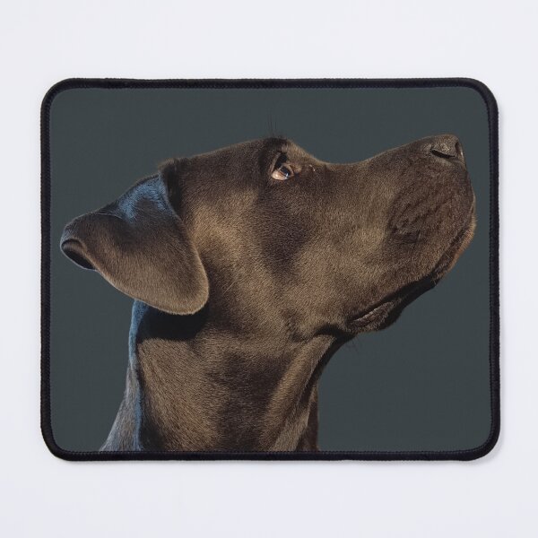 Artikelvorschau, Grey Cane Corso – Fine Art Dog Portrait entworfen und verkauft von PicturePic.