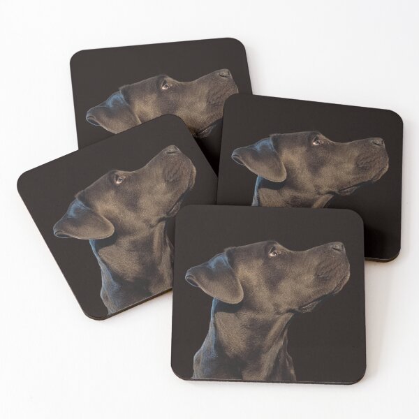 Item preview, Gray Cane Corso – Fine Art Dog Portrait designed and sold by PicturePic.