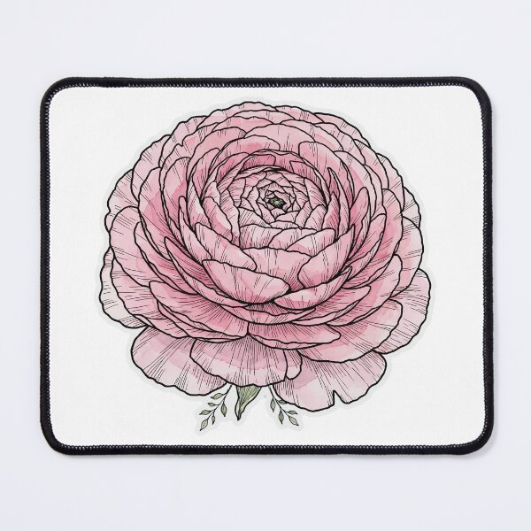 Item preview, Pink Ranunculus Sticker | Ranunculus Die Cut Sticker | Fine Line Bold Botanical Decal | Pink Flower Laptop Sticker designed and sold by FineLineBotanical .