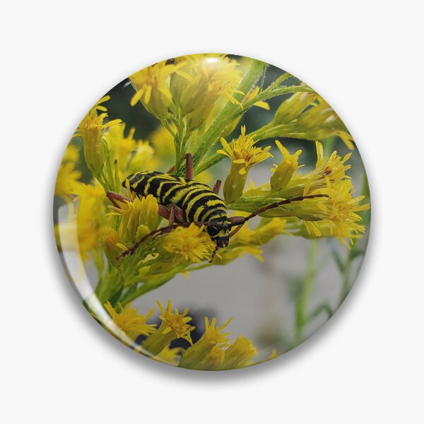 Item preview, Locust Borer on Tall Goldenrod designed and sold by concretebotany.