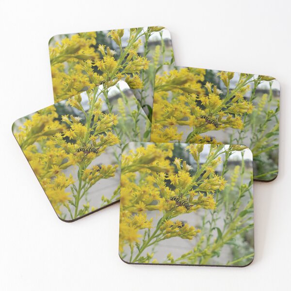 Item preview, Locust Borer on Tall Goldenrod designed and sold by concretebotany.