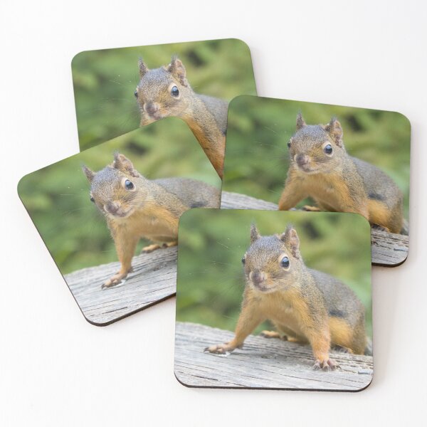 Item preview, Douglas Squirrel designed and sold by LaurenTucker.