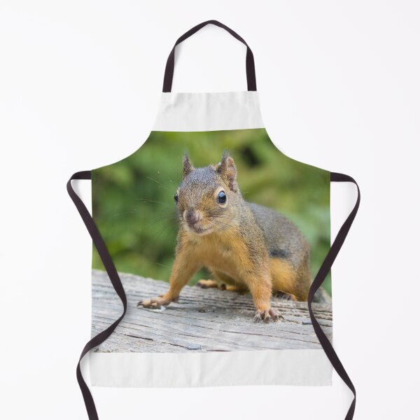 Item preview, Douglas Squirrel designed and sold by LaurenTucker.