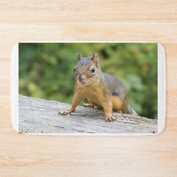 Item preview, Douglas Squirrel designed and sold by LaurenTucker.