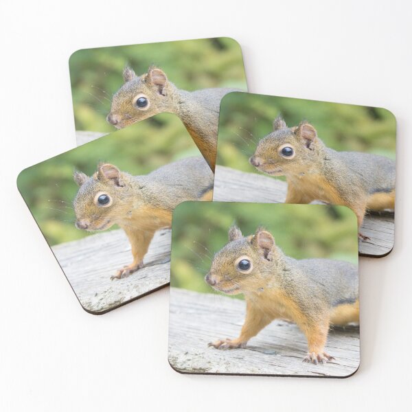 Item preview, Douglas Squirrel designed and sold by LaurenTucker.