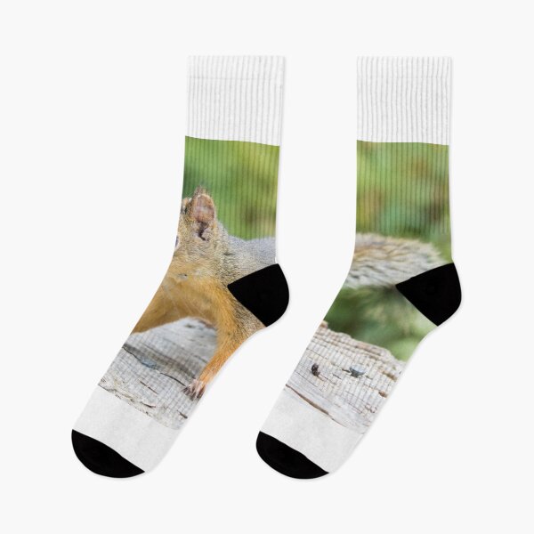 Item preview, Douglas Squirrel designed and sold by LaurenTucker.