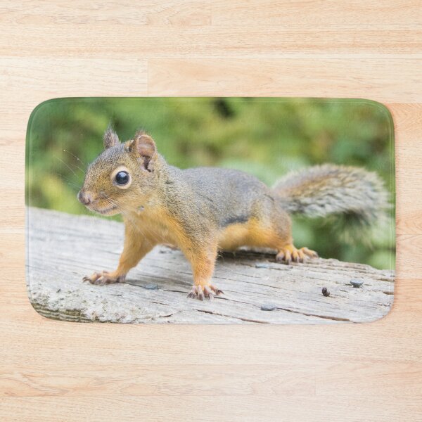 Item preview, Douglas Squirrel designed and sold by LaurenTucker.