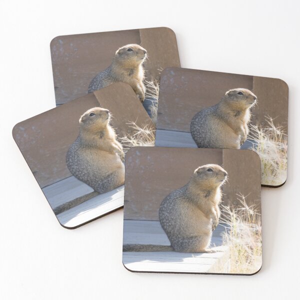 Item preview, Arctic Ground Squirrel designed and sold by LaurenTucker.