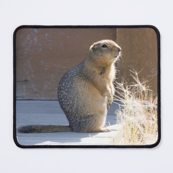 Item preview, Arctic Ground Squirrel designed and sold by LaurenTucker.