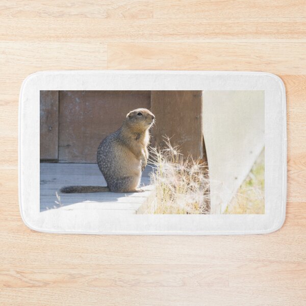 Item preview, Arctic Ground Squirrel designed and sold by LaurenTucker.