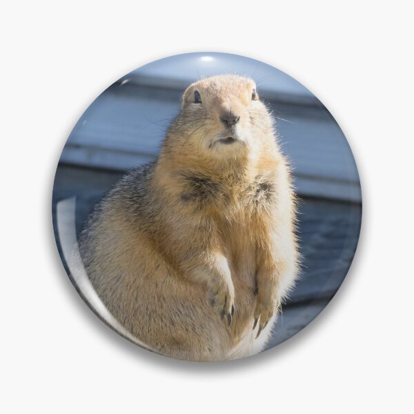 Item preview, Arctic Ground Squirrel designed and sold by LaurenTucker.