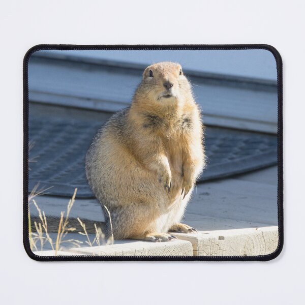 Item preview, Arctic Ground Squirrel designed and sold by LaurenTucker.