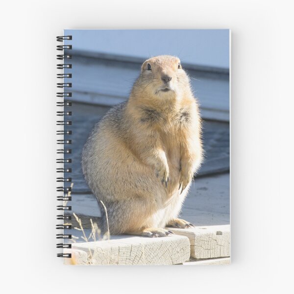 Item preview, Arctic Ground Squirrel designed and sold by LaurenTucker.