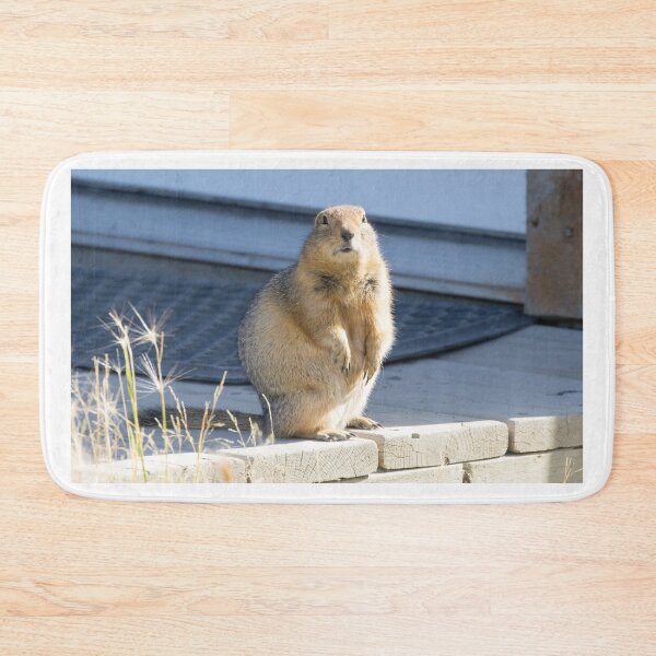 Item preview, Arctic Ground Squirrel designed and sold by LaurenTucker.