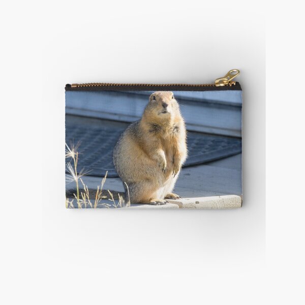 Item preview, Arctic Ground Squirrel designed and sold by LaurenTucker.