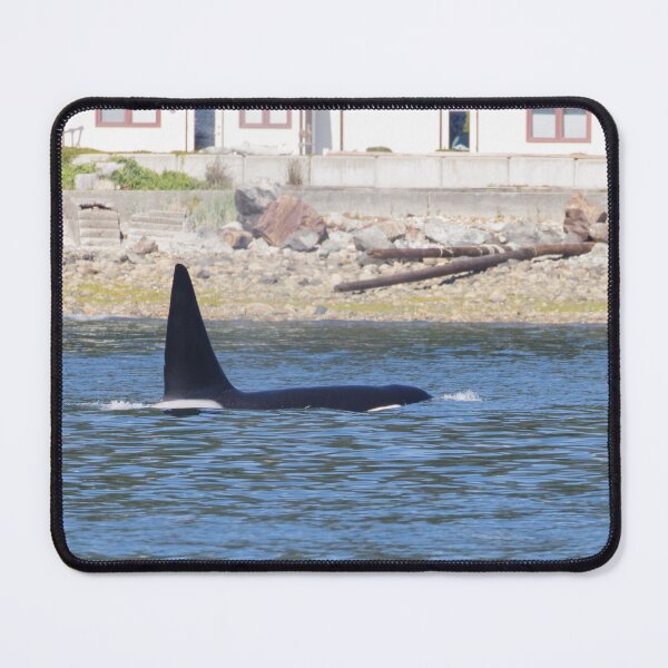 Item preview, Killer Whale designed and sold by LaurenTucker.