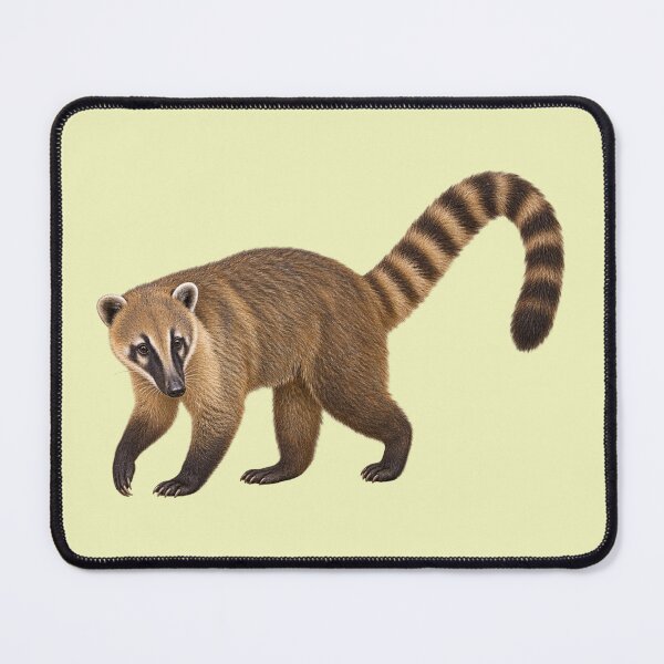 Item preview, South American Coati designed and sold by RAMIRELLI.