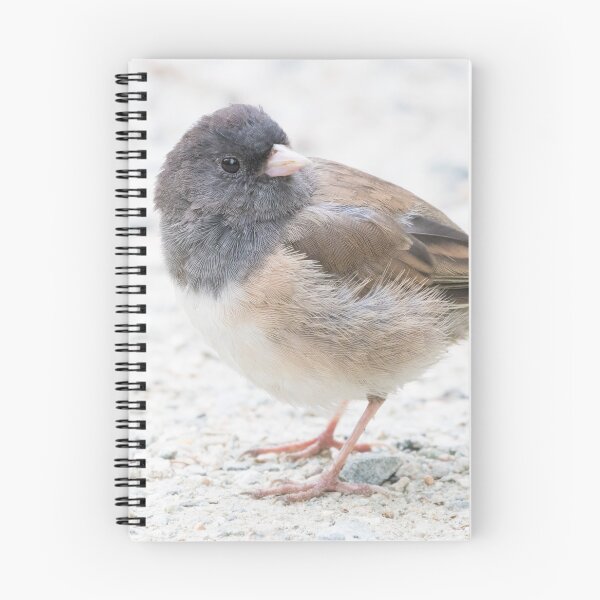 Item preview, Dark Eyed Junco designed and sold by LaurenTucker.