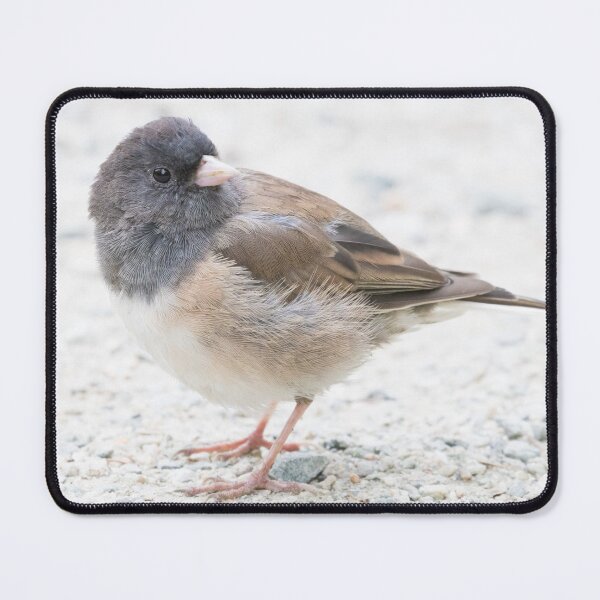 Item preview, Dark Eyed Junco designed and sold by LaurenTucker.
