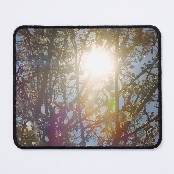 Item preview, Cherry Blossom Sunburst Canvas Print | Spring Cherry Tree Wall Art | Sun Flare Nature Photography Poster | Blooming Tree Fine Art designed and sold by SergioMiklos.