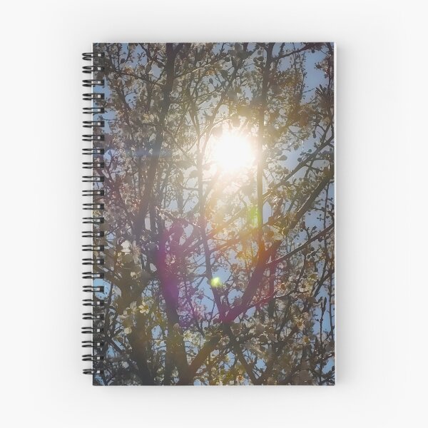 Item preview, Cherry Blossom Sunburst Canvas Print | Spring Cherry Tree Wall Art | Sun Flare Nature Photography Poster | Blooming Tree Fine Art designed and sold by SergioMiklos.