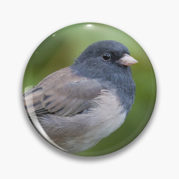 Item preview, Dark Eyed Junco designed and sold by LaurenTucker.