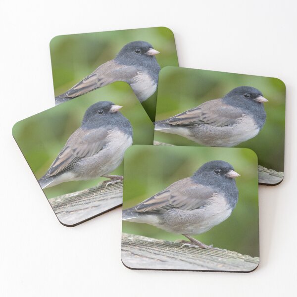 Item preview, Dark Eyed Junco designed and sold by LaurenTucker.