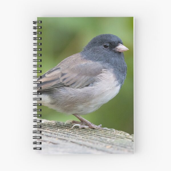 Item preview, Dark Eyed Junco designed and sold by LaurenTucker.