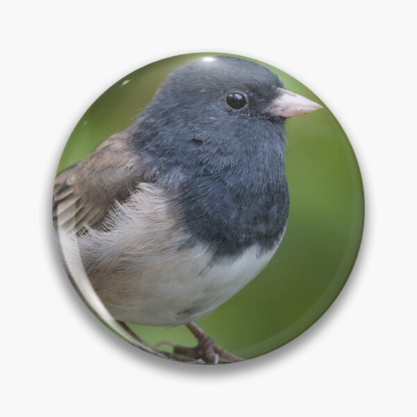 Item preview, Dark Eyed Junco designed and sold by LaurenTucker.