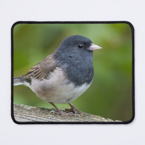 Item preview, Dark Eyed Junco designed and sold by LaurenTucker.