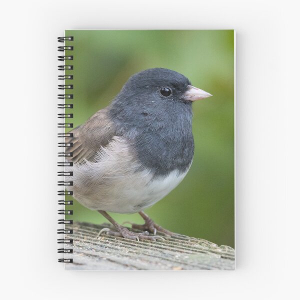 Item preview, Dark Eyed Junco designed and sold by LaurenTucker.