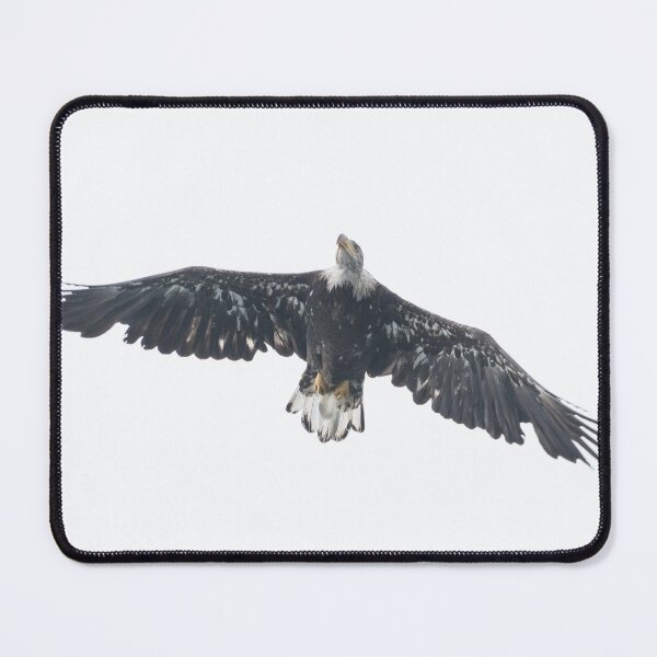 Item preview, Bald Eagle designed and sold by LaurenTucker.