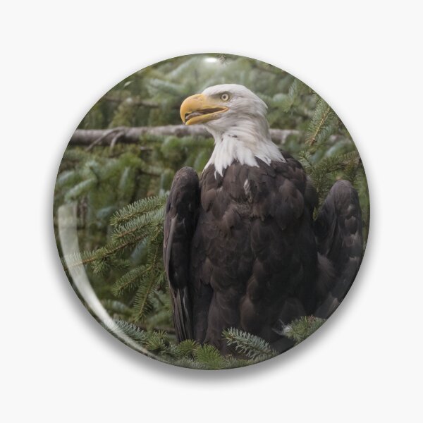 Item preview, Bald Eagle designed and sold by LaurenTucker.