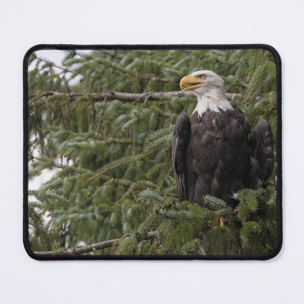 Item preview, Bald Eagle designed and sold by LaurenTucker.