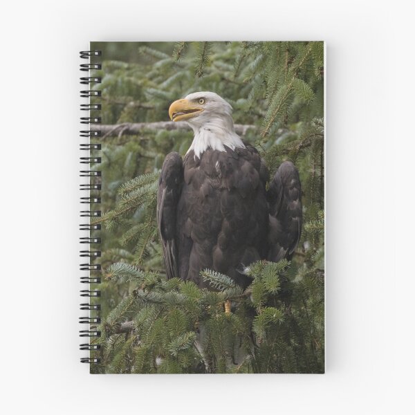 Item preview, Bald Eagle designed and sold by LaurenTucker.