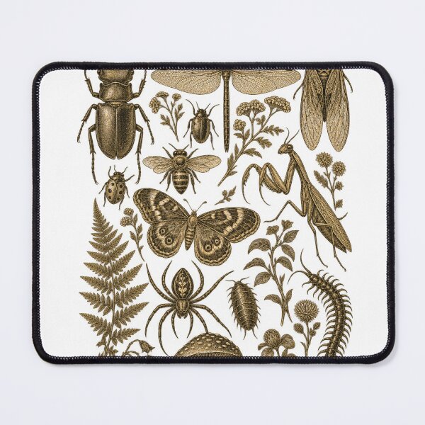 Item preview, Antique Insect Collection Botanical Beetles Butterfly Mushroom designed and sold by will freed18.