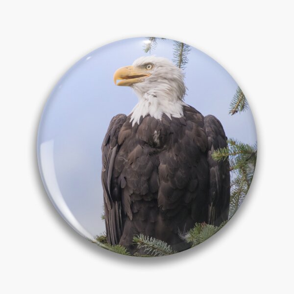 Item preview, Bald Eagle designed and sold by LaurenTucker.