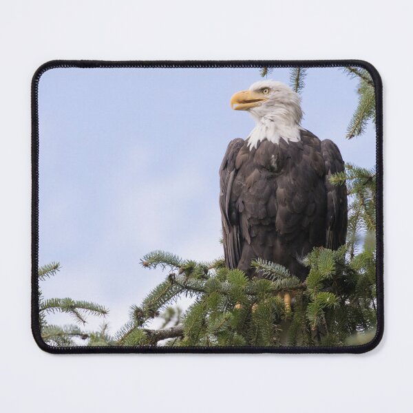 Item preview, Bald Eagle designed and sold by LaurenTucker.