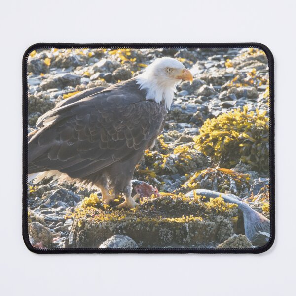 Item preview, Bald Eagle designed and sold by LaurenTucker.