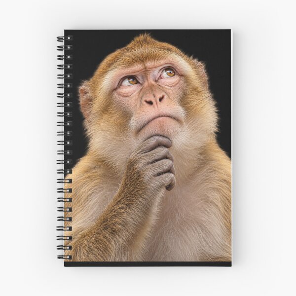 Item preview, Thinking Monkey Funny Curious Primate Meme designed and sold by will freed18.