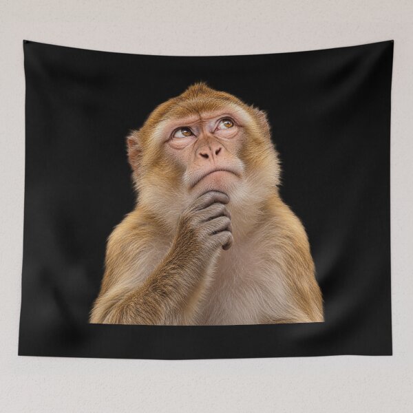 Item preview, Thinking Monkey Funny Curious Primate Meme designed and sold by will freed18.