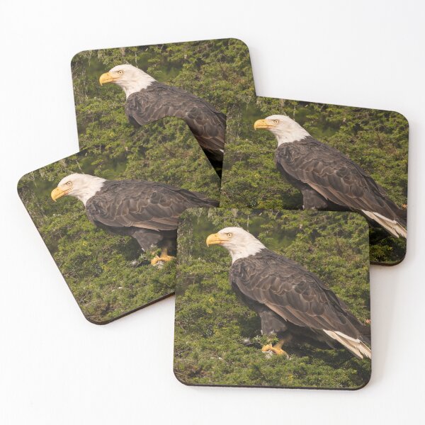 Item preview, Bald Eagle designed and sold by LaurenTucker.