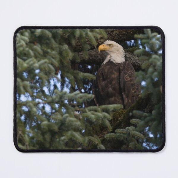 Item preview, Bald Eagle designed and sold by LaurenTucker.