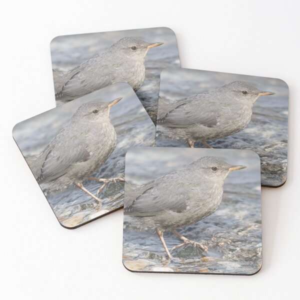 Item preview, American Dipper designed and sold by LaurenTucker.