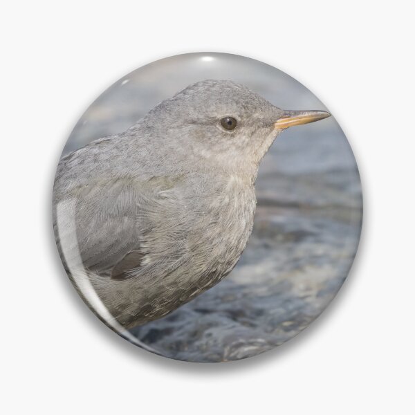 Item preview, American Dipper designed and sold by LaurenTucker.