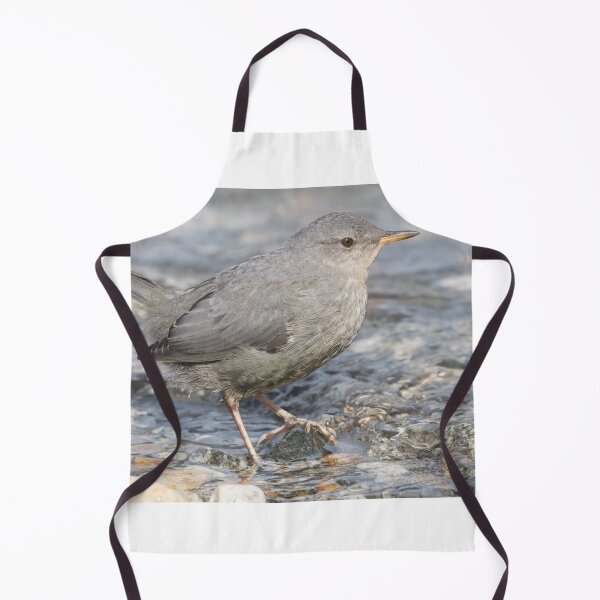 Item preview, American Dipper designed and sold by LaurenTucker.