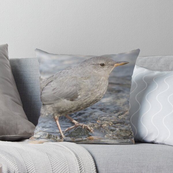 Item preview, American Dipper designed and sold by LaurenTucker.